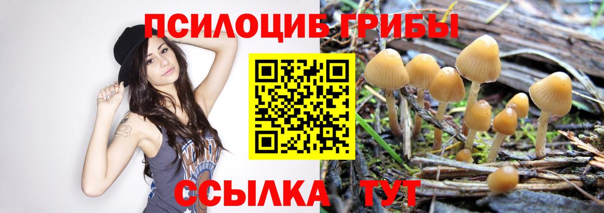 Галлюциногенные грибы мицелий Зеленодольск