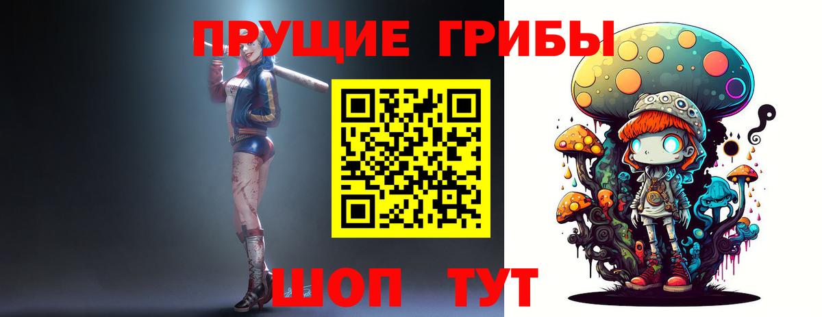 Зеленодольск  Галлюциногенные грибы мицелий  Псилоцибиновые грибы Psilocybine cubensis  Вход с VPN 